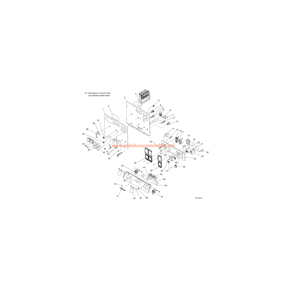 242935 Filtro dela tarjeta de electrónica Miller Hf