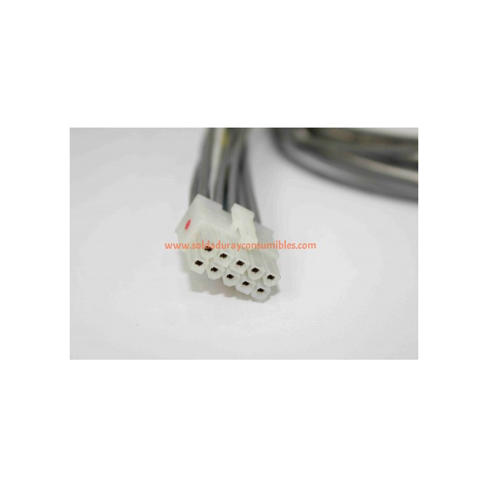 Lincoln Electric Plug & Lead Assembly S18250-603