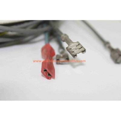 Lincoln Electric Plug & Lead Assembly S18250-603