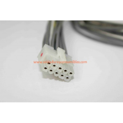 Lincoln Electric Plug & Lead Assembly S18250-603